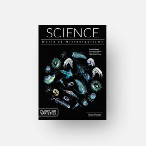 Science Myths